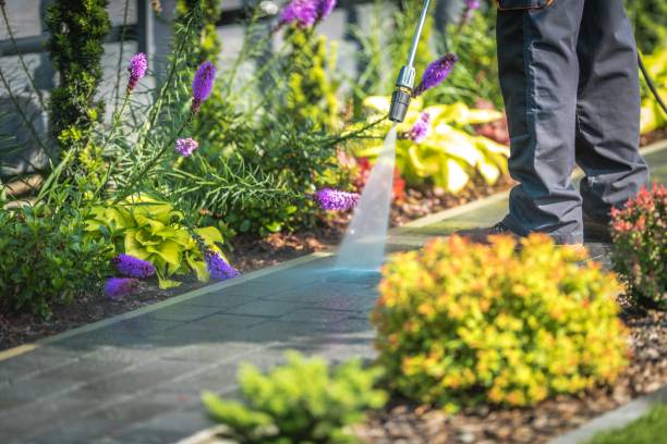 Best Fence Cleaning  in Lyons, IL