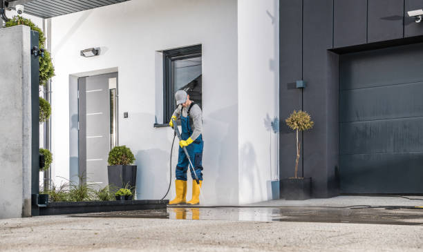 Best Solar Panel Cleaning  in Lyons, IL